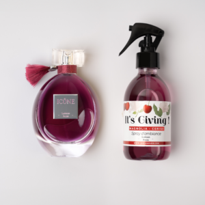 ICÔNE ET ITS GIVING